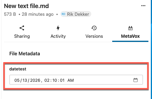 Datetime-input in de bestandszijbalk